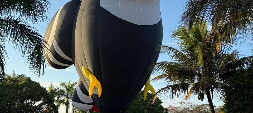 Vorbereitungen für die Internationale Montgolfiade