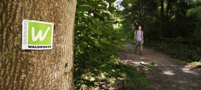 Zum Nachhören: Ferientipps der Ranger