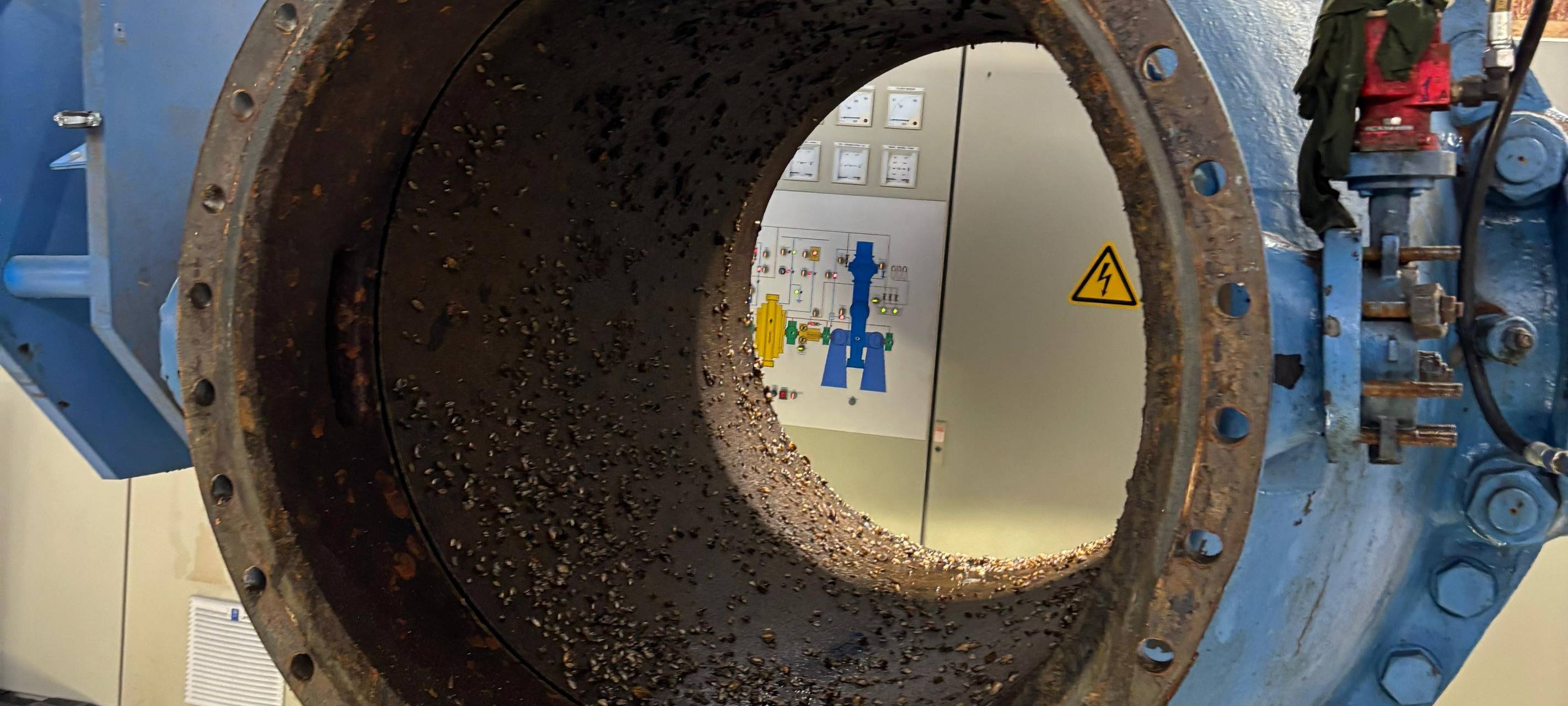 Sauerland: Quaggamuscheln auch im Sorpekraftwerk