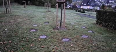 Winterberg: Baumbestattungen möglich