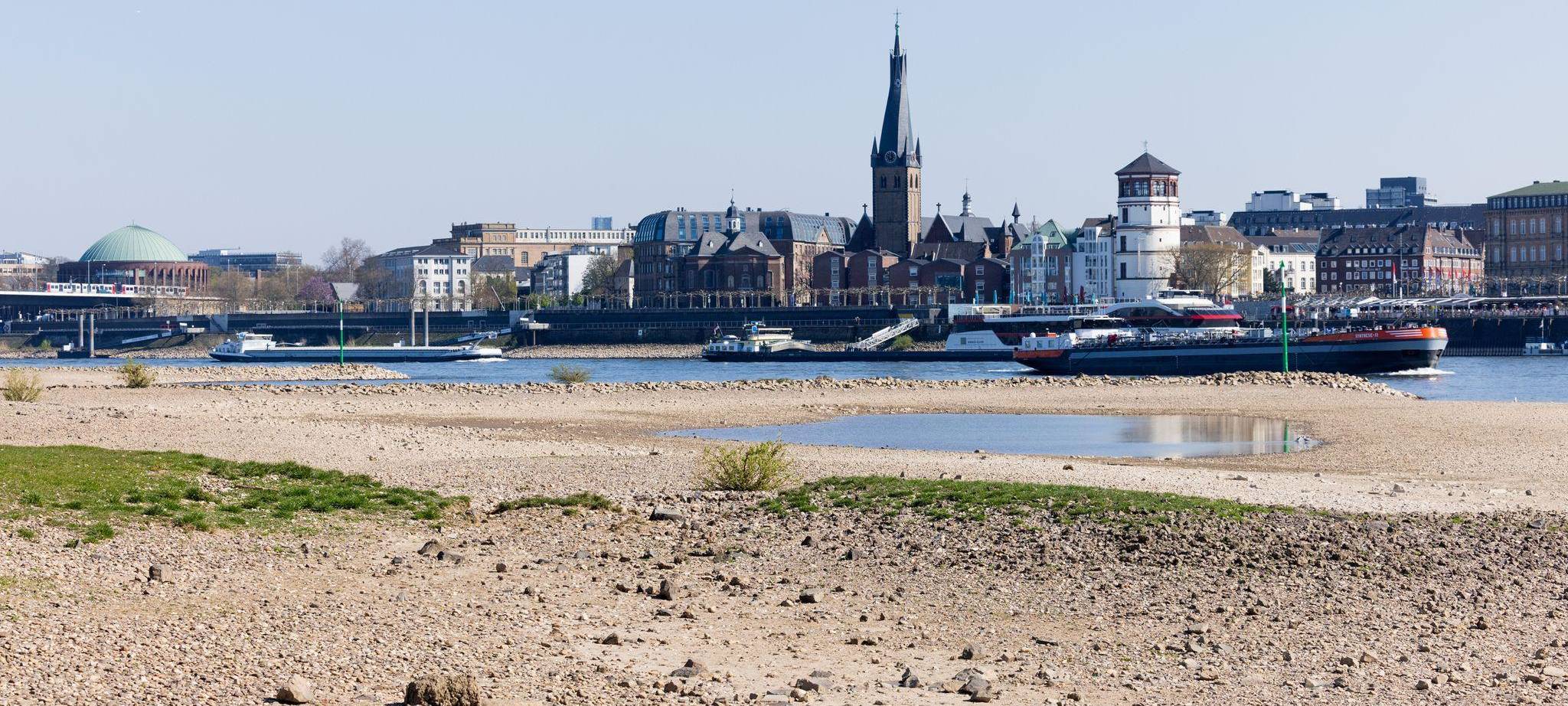 Trockenheit am Rhein
