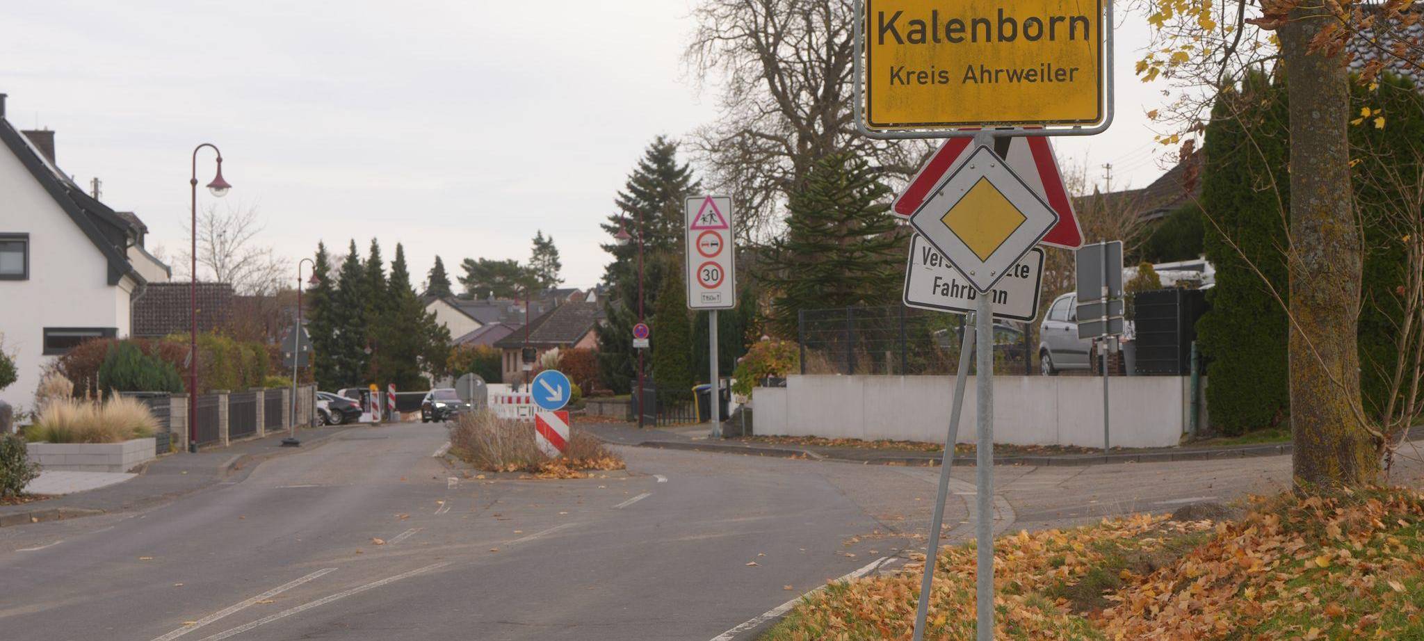 Mutmaßliche Großkatze gesichtet