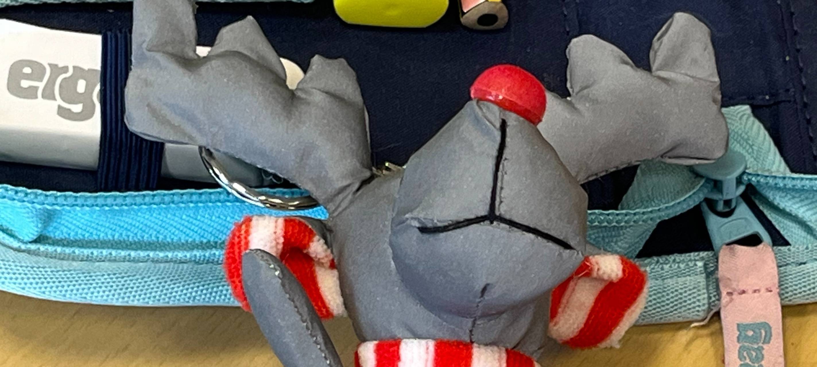 Mit Emil sicher zur Schule – Unsere Verkehrssicherheitsaktion