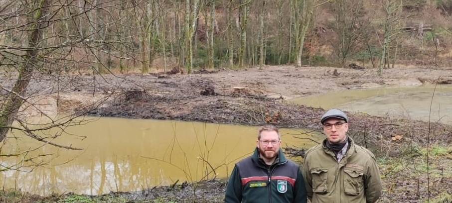 Waldgewässer sichern Artenreichtum und Wasserzufuhr