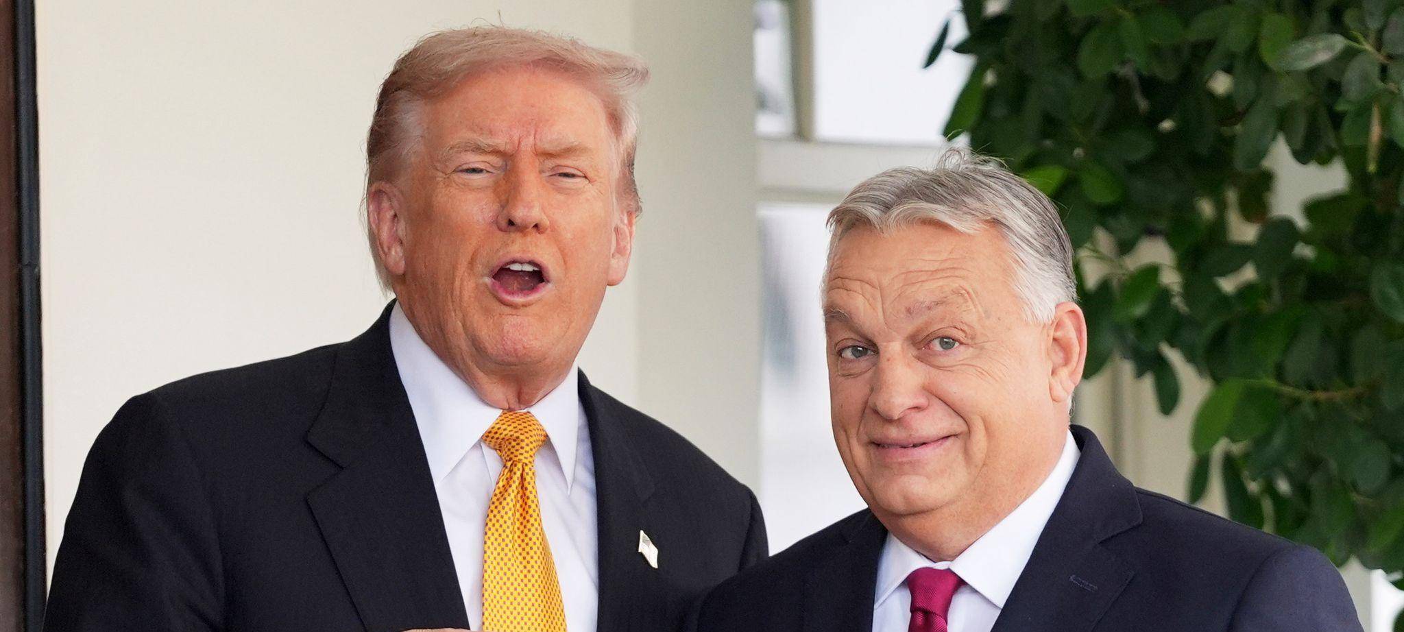 Ungarns Regierungschef Orban im Weißen Haus