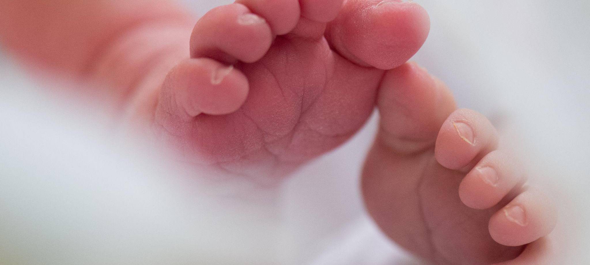 Illustration - Geburten