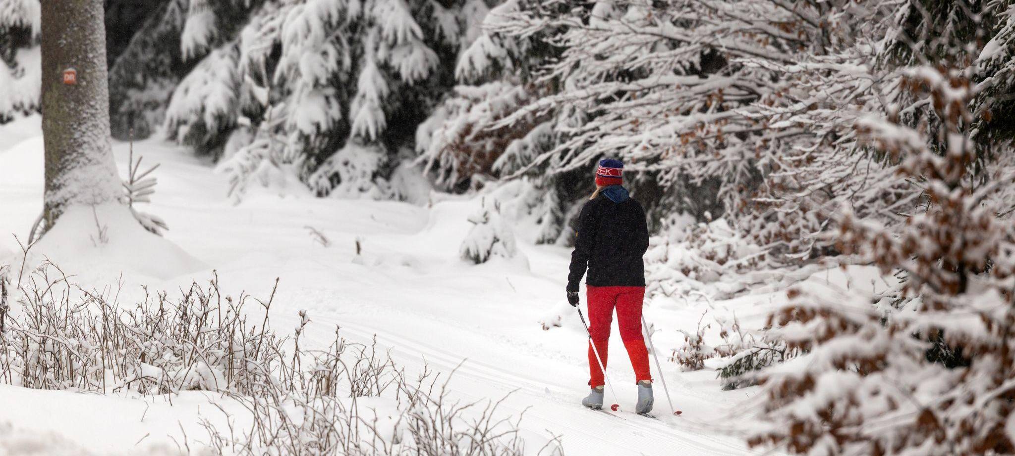 Winterwetter in Thüringen