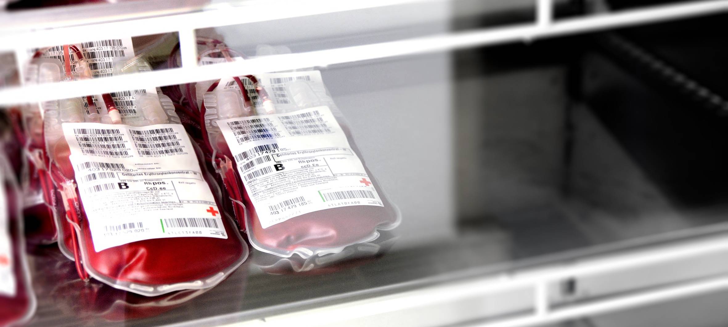 75 Jahre DRK-Blutspende: Spender im HSK gesucht