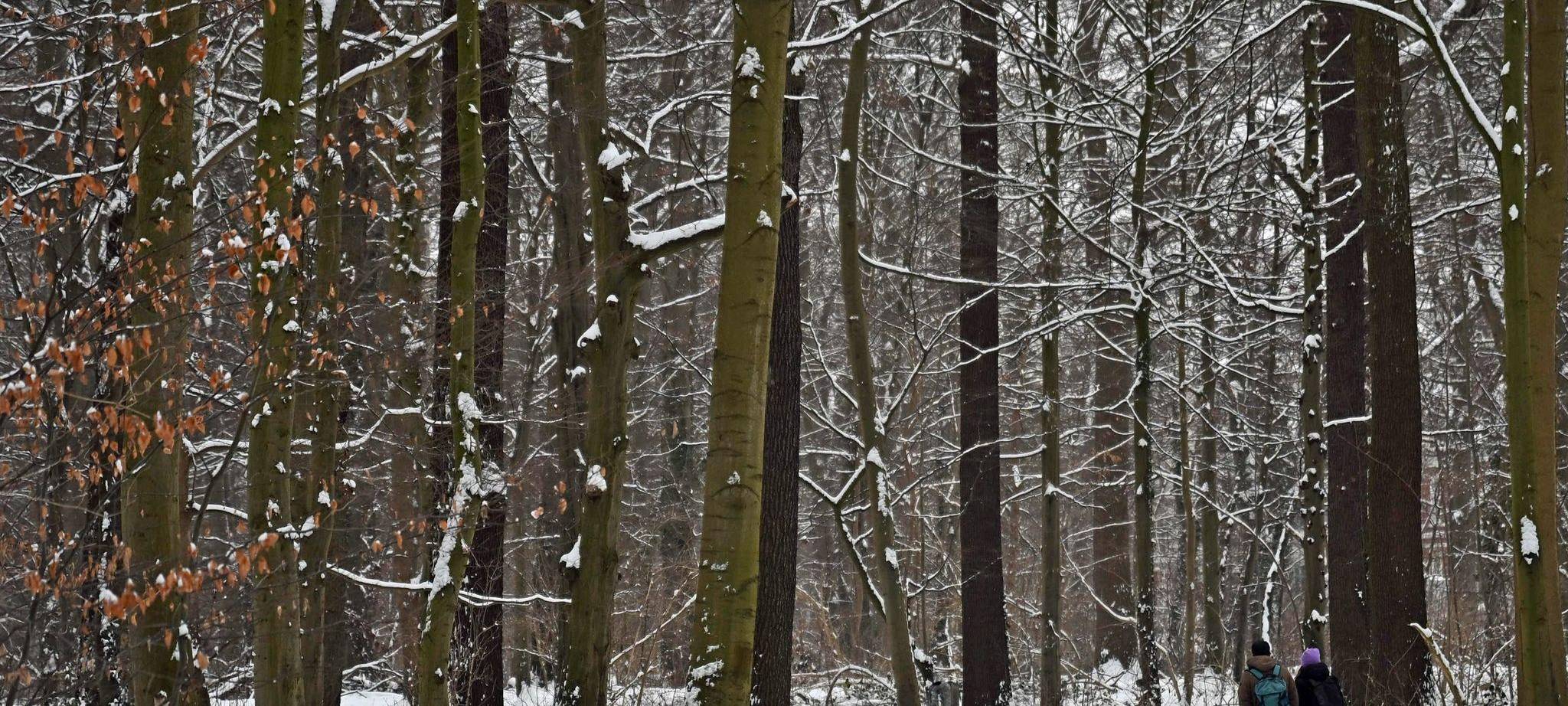 Winterwetter in Deutschland - Hannover