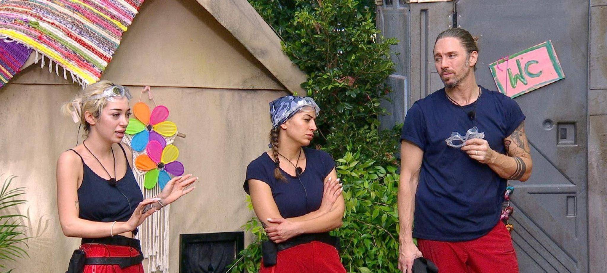 Ich bin ein Star - Holt mich hier raus!