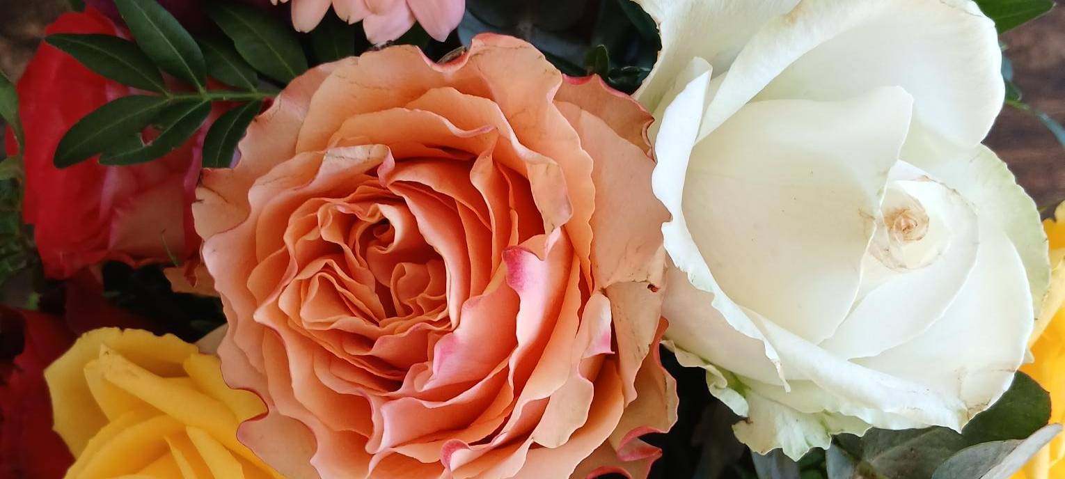 Valentinstag sorgt für Umsatzplus
