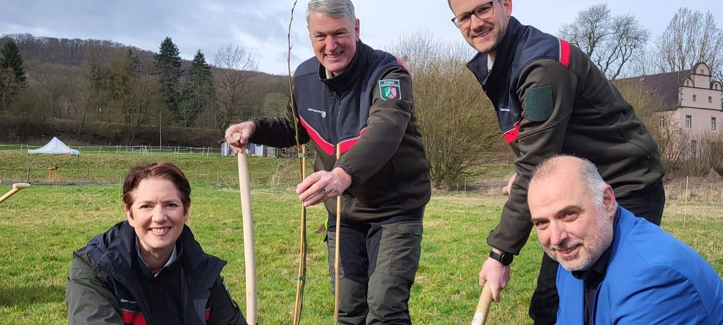 Wildbirne soll wieder in Sauerländer Wäldern wachsen