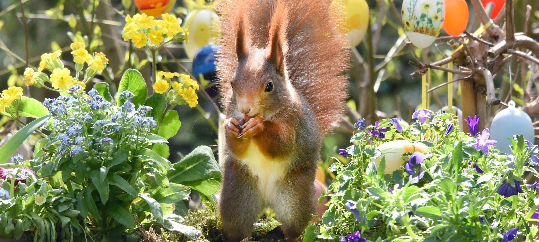 Tipps zur Zeitumstellung