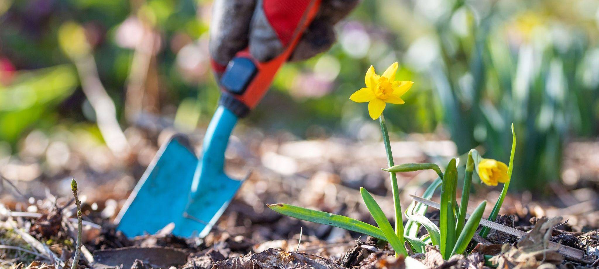 Tipps zur Zeitumstellung