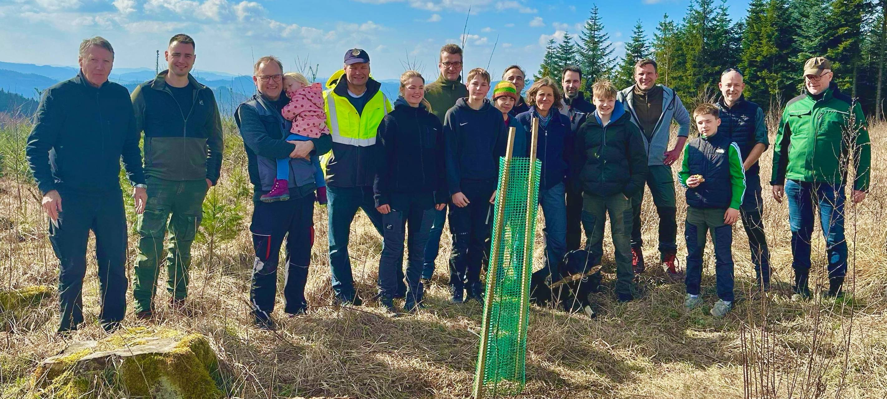 Rotary Club pflanzt Bäume im Arnsberger Wald