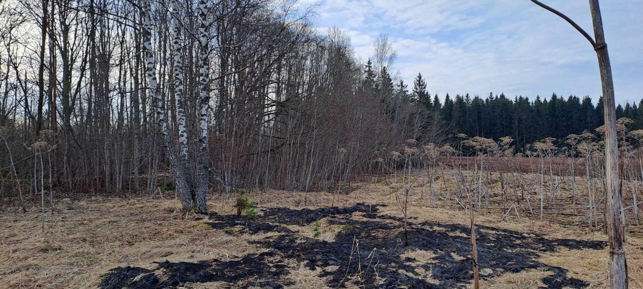 Drohne stürzt in Lettland ab