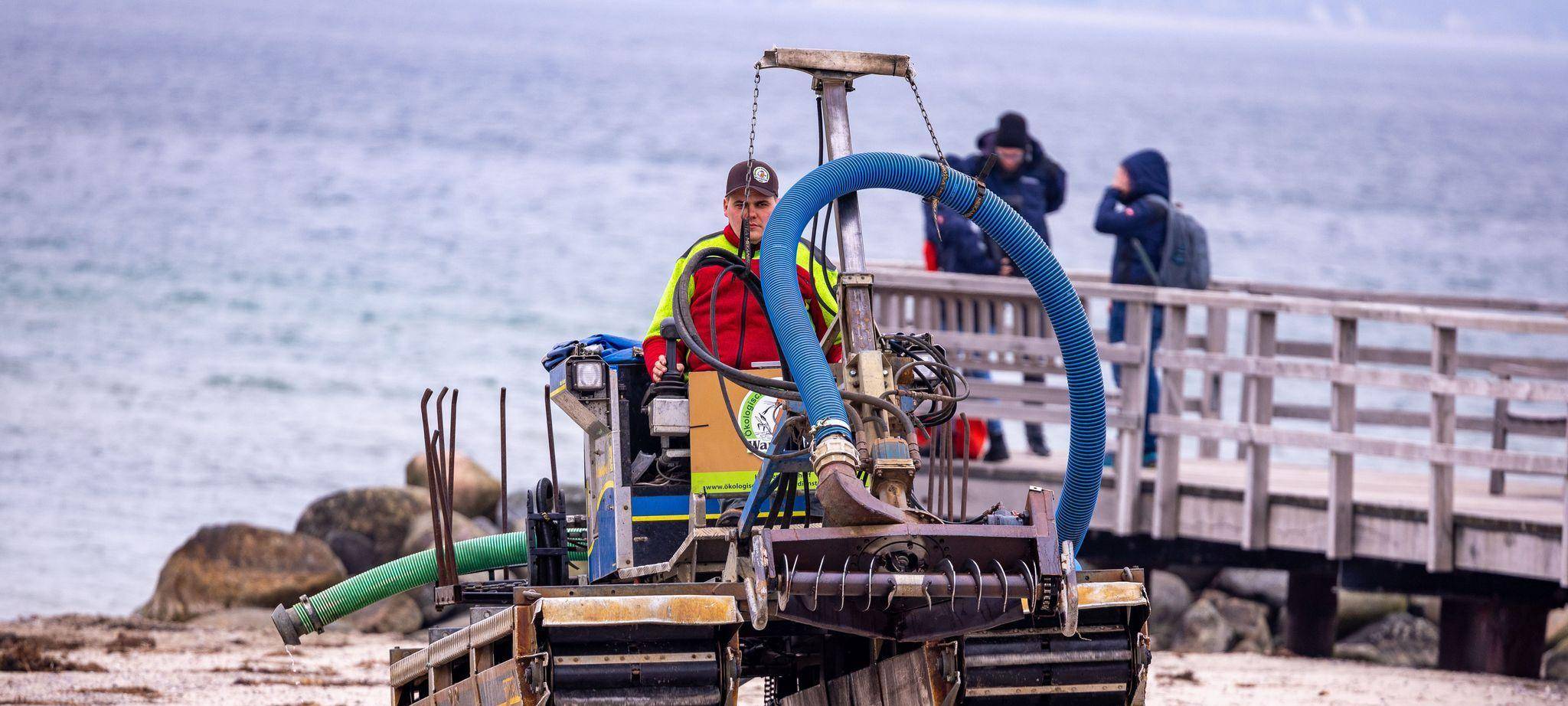 Wal an der Ostseeküste gestrandet