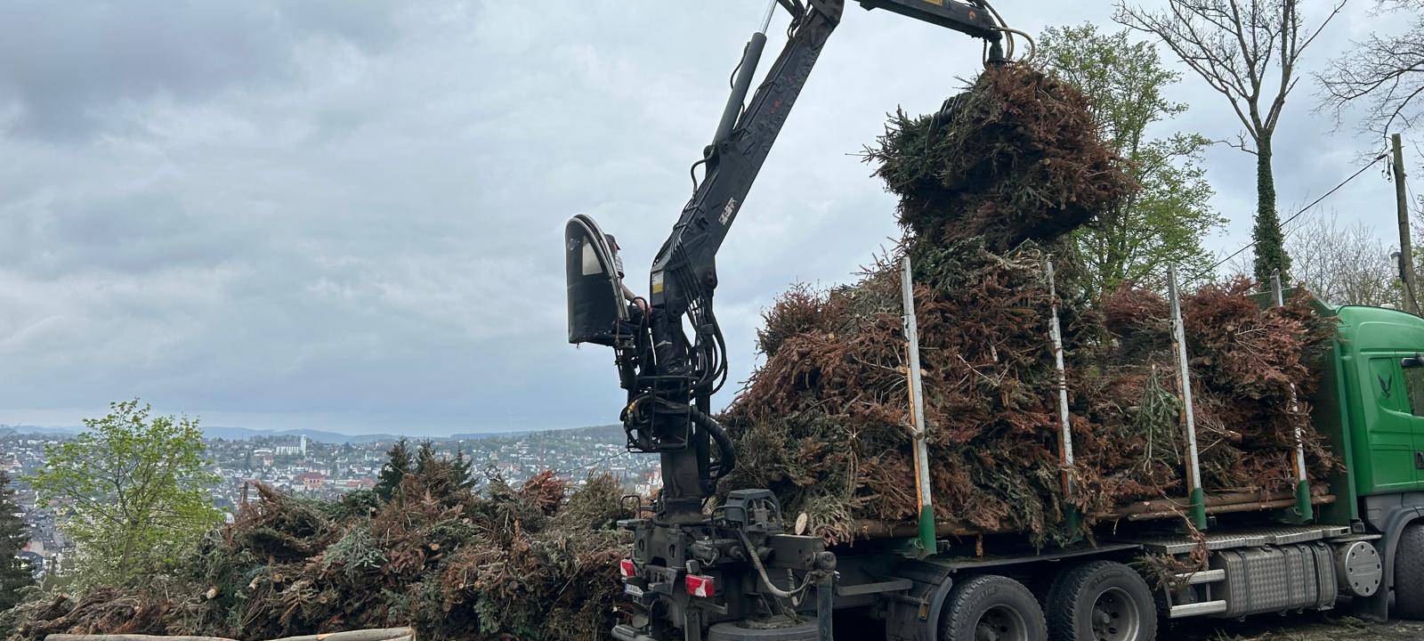 Zum Nachhören: Arnsberger Osterfeuerverein