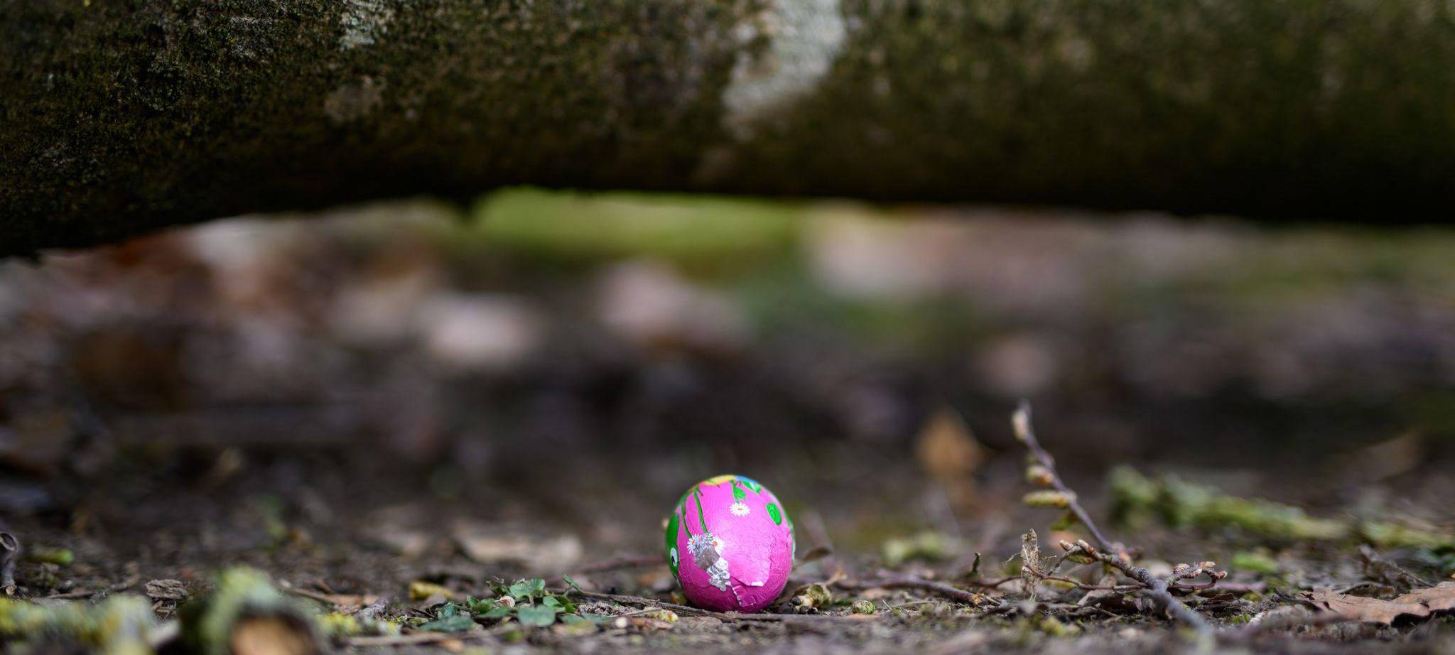 Baum umgestürzt - Drei Tote bei Flensburg