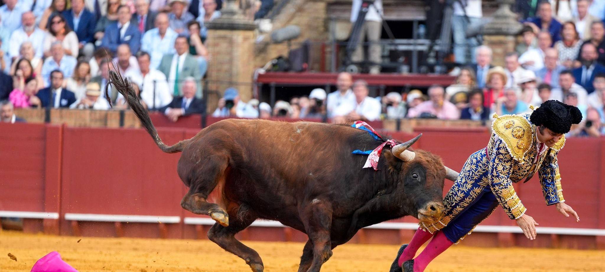 Stierkampf in der Maestranza in Sevilla