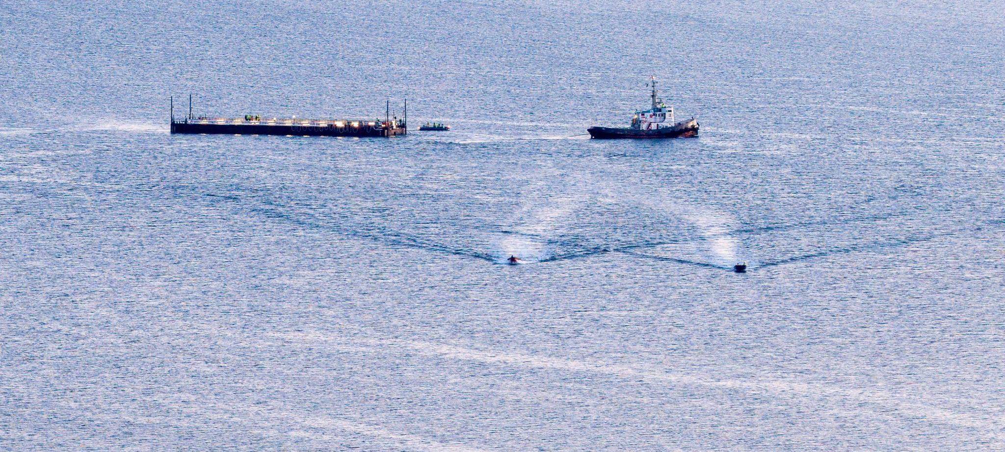 Weitere Entwicklung zum Buckelwal in der Ostsee