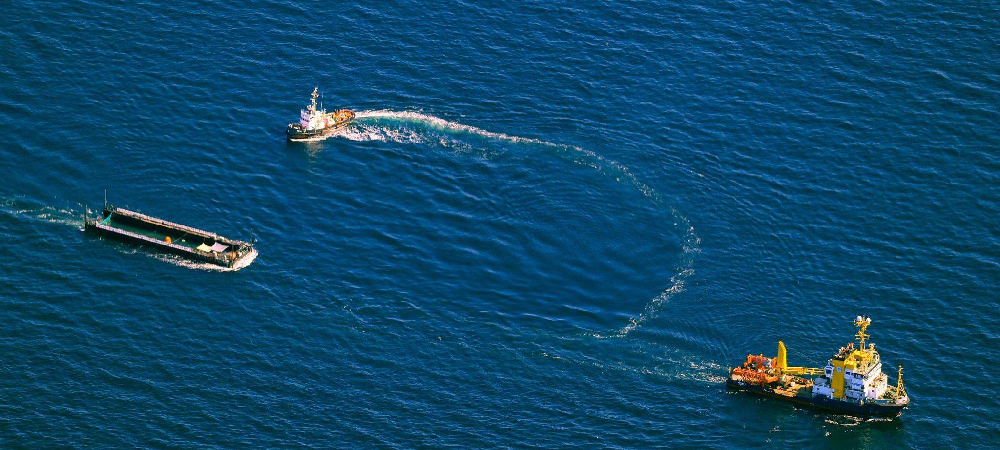 Weitere Entwicklung zum Buckelwal auf dem Weg aus der Ostsee
