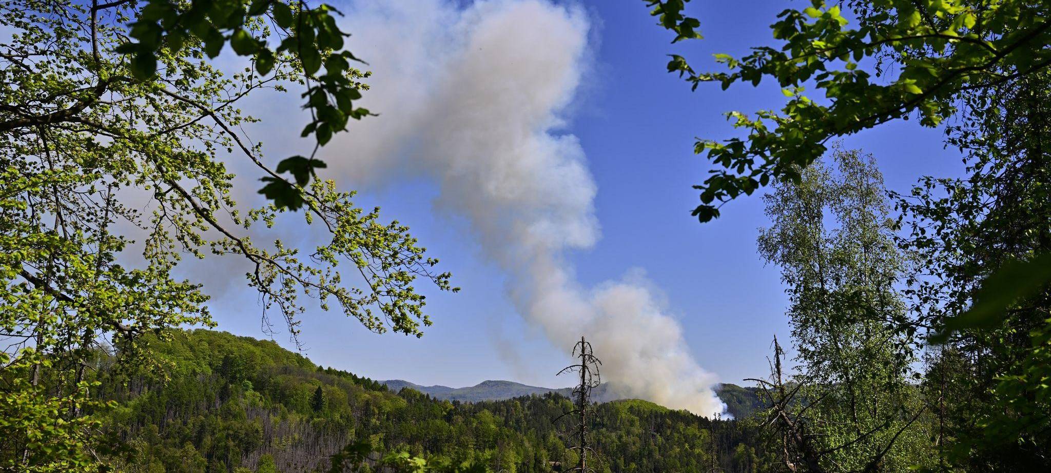 Waldbrand im Nationalpark Böhmische Schweiz