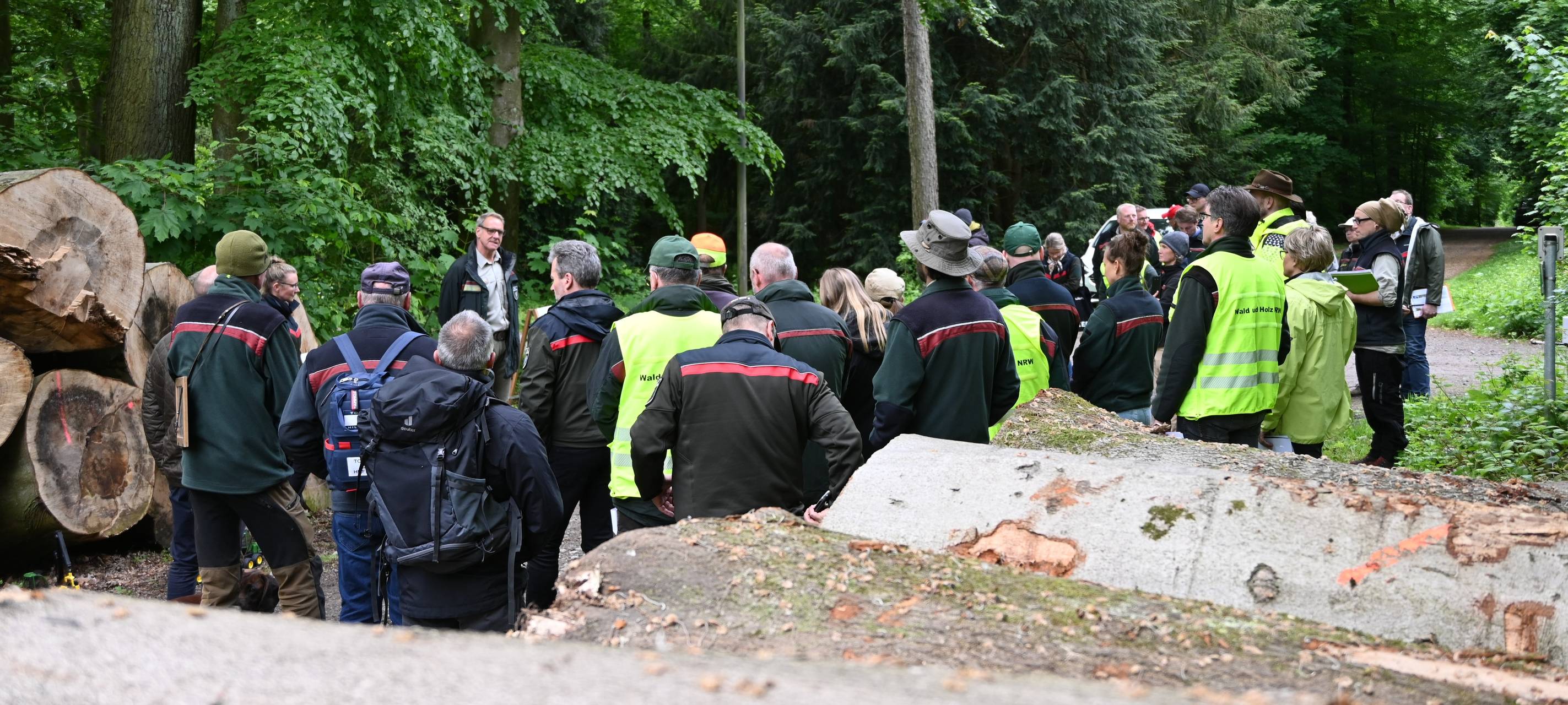 Neue Bedrohung für Sauerländer Wälder