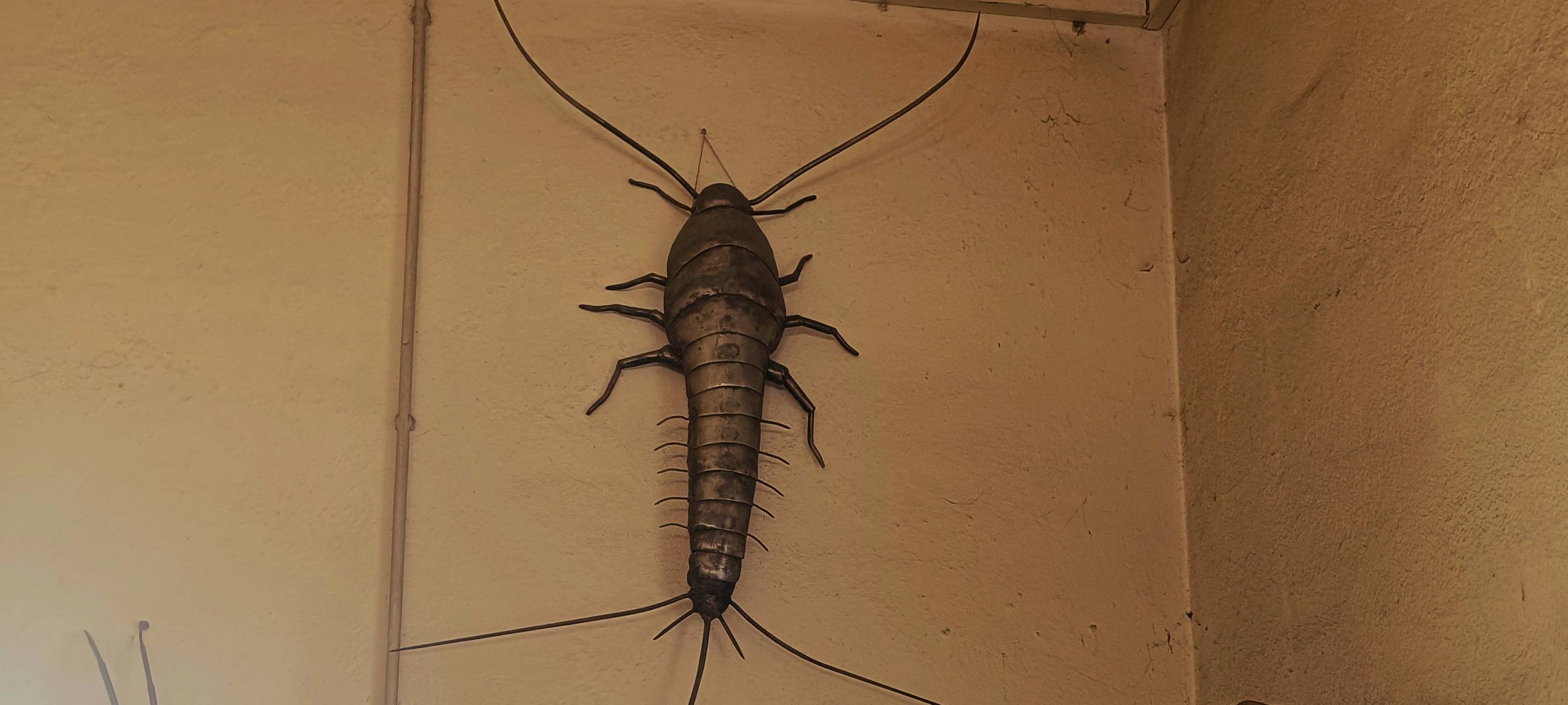 Insektenskulpturen hängen in der Werkstatt an jeder Wand