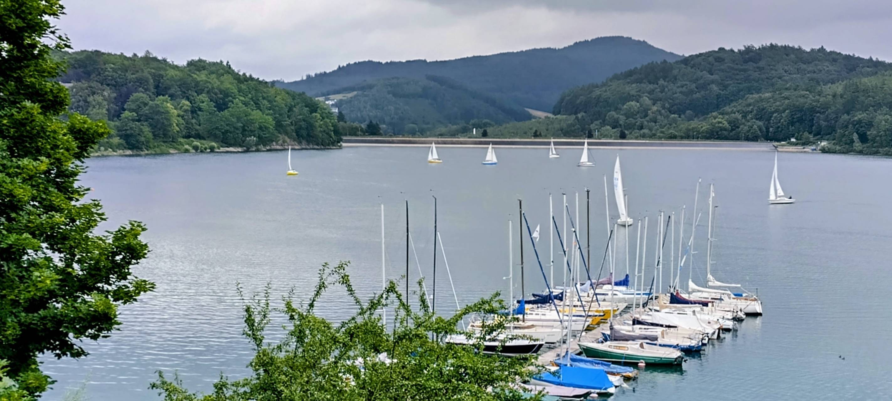 Hennesee: Merz-Sommerinterview