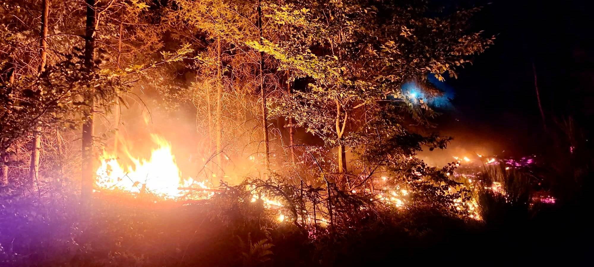 Waldbrand bei Siedlinghausen