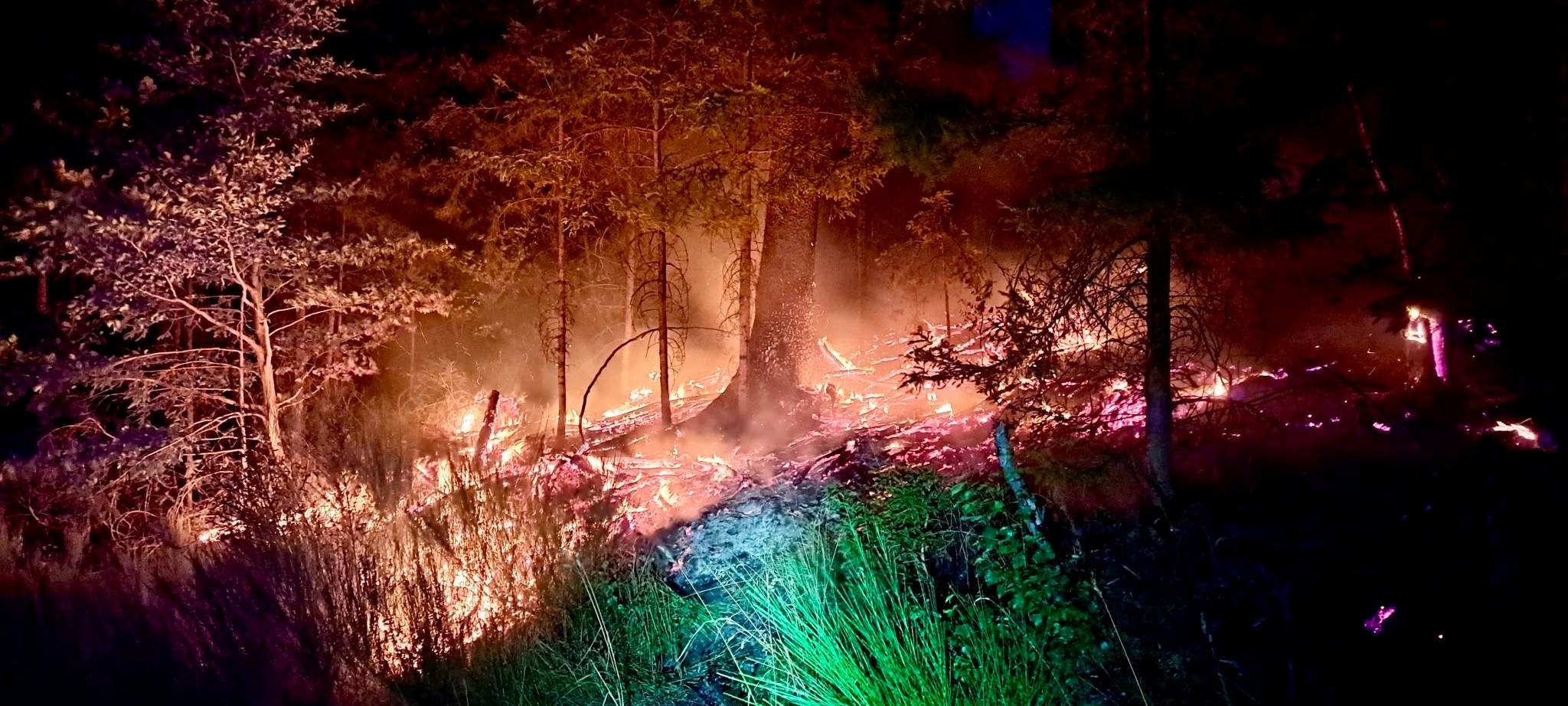 Waldbrand bei Siedlinghausen