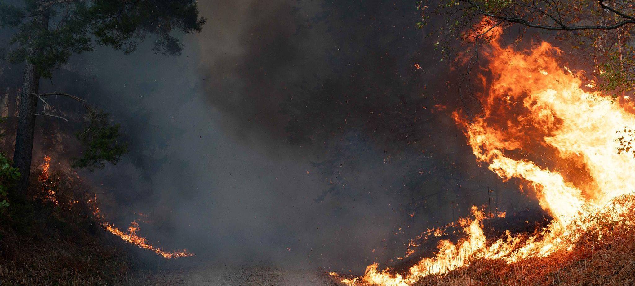 Waldbrand im Hürtgenwald