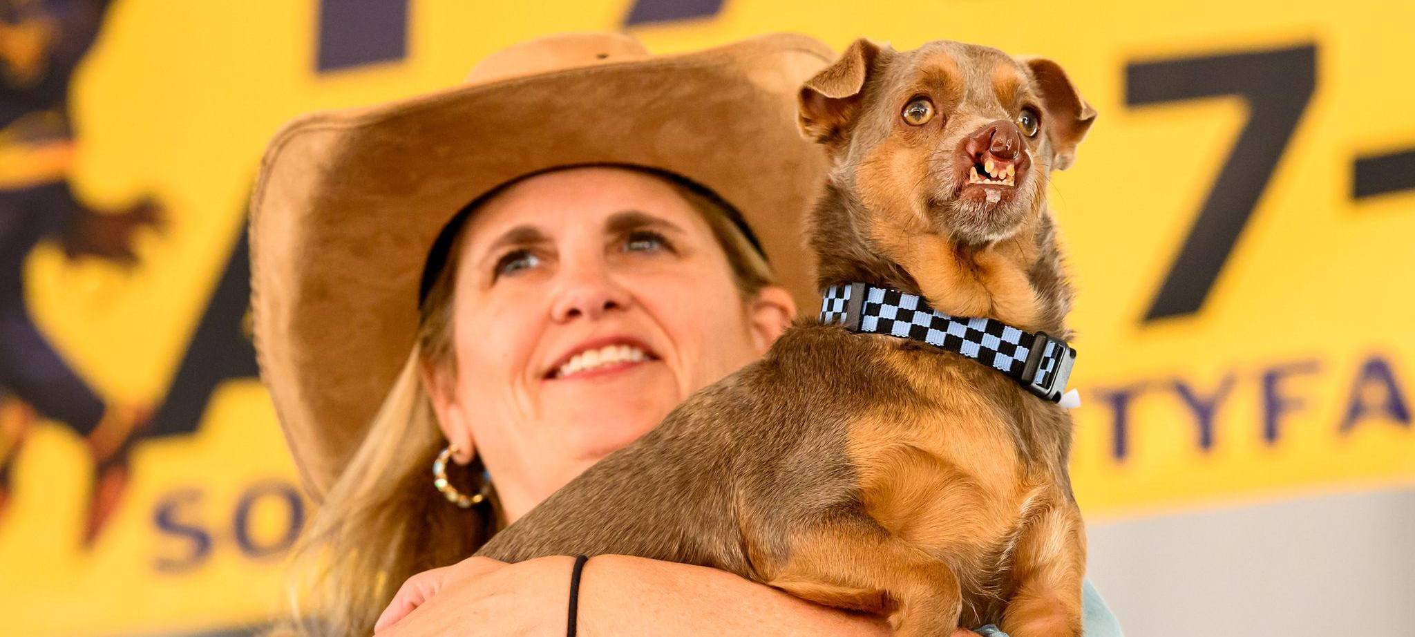 Hässlichster Hund Wettbewerb