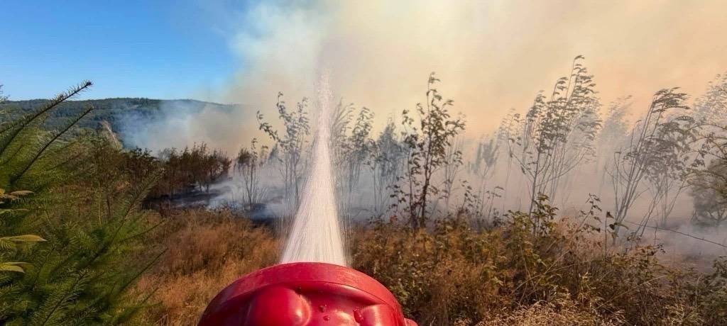 Nach Waldbränden: Feuerwehrverband dankt Beteiligten