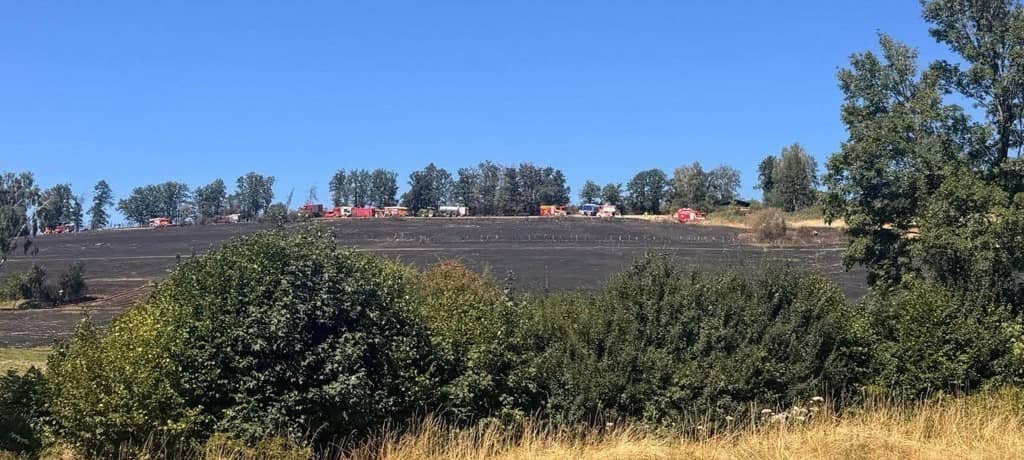 Waldbrand Helminghausen: Hohe Kosten für Stadt