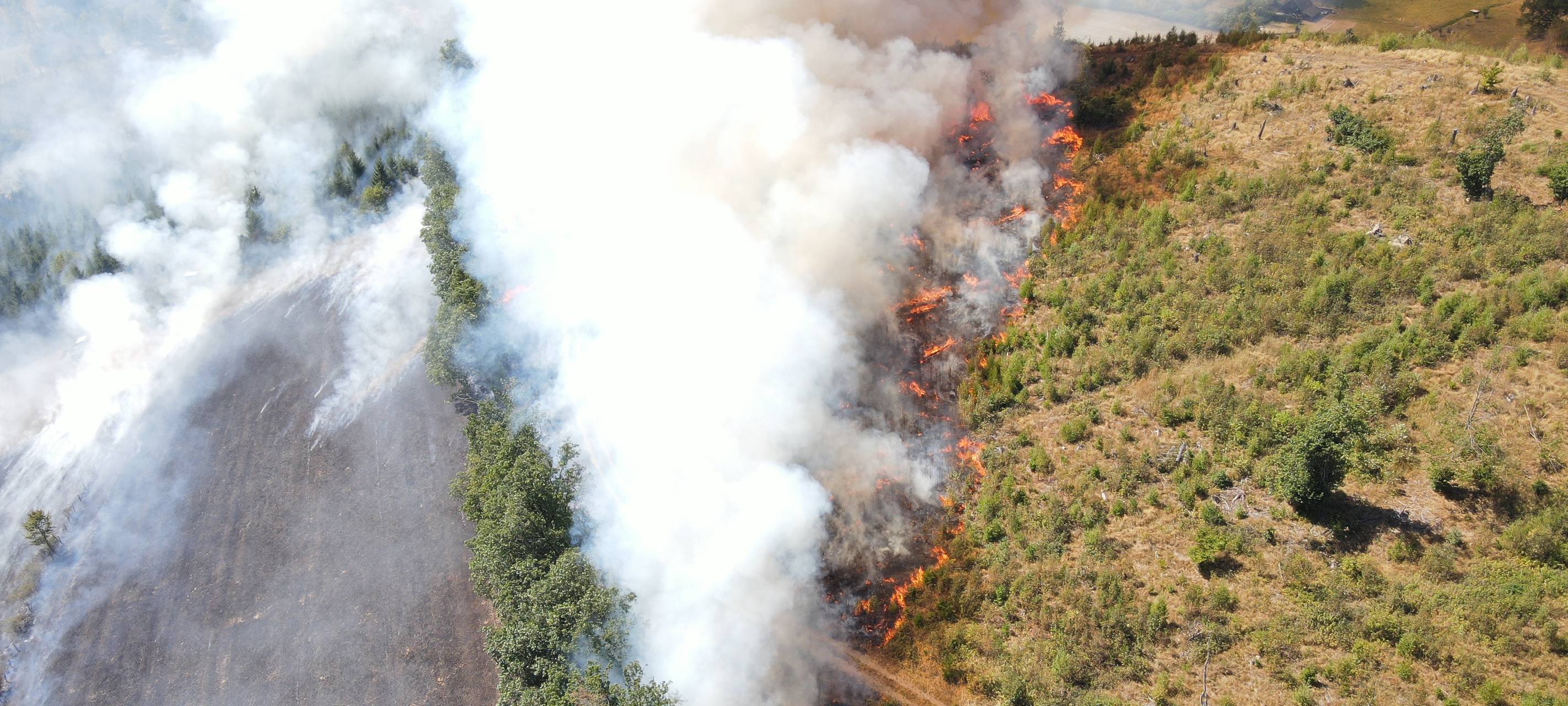 Waldbrand: Bilanz Marsberger Feuerwehr
