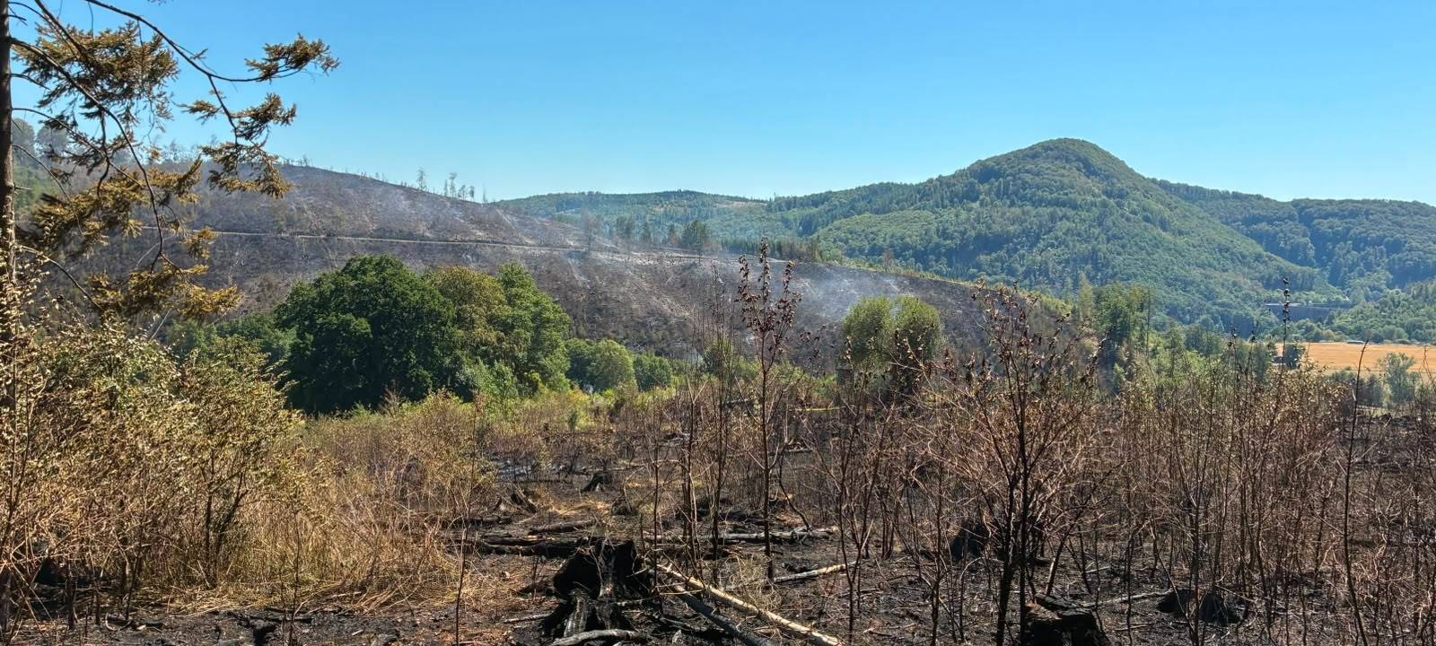 Zum Nachhören: Sauerländer Waldbrände