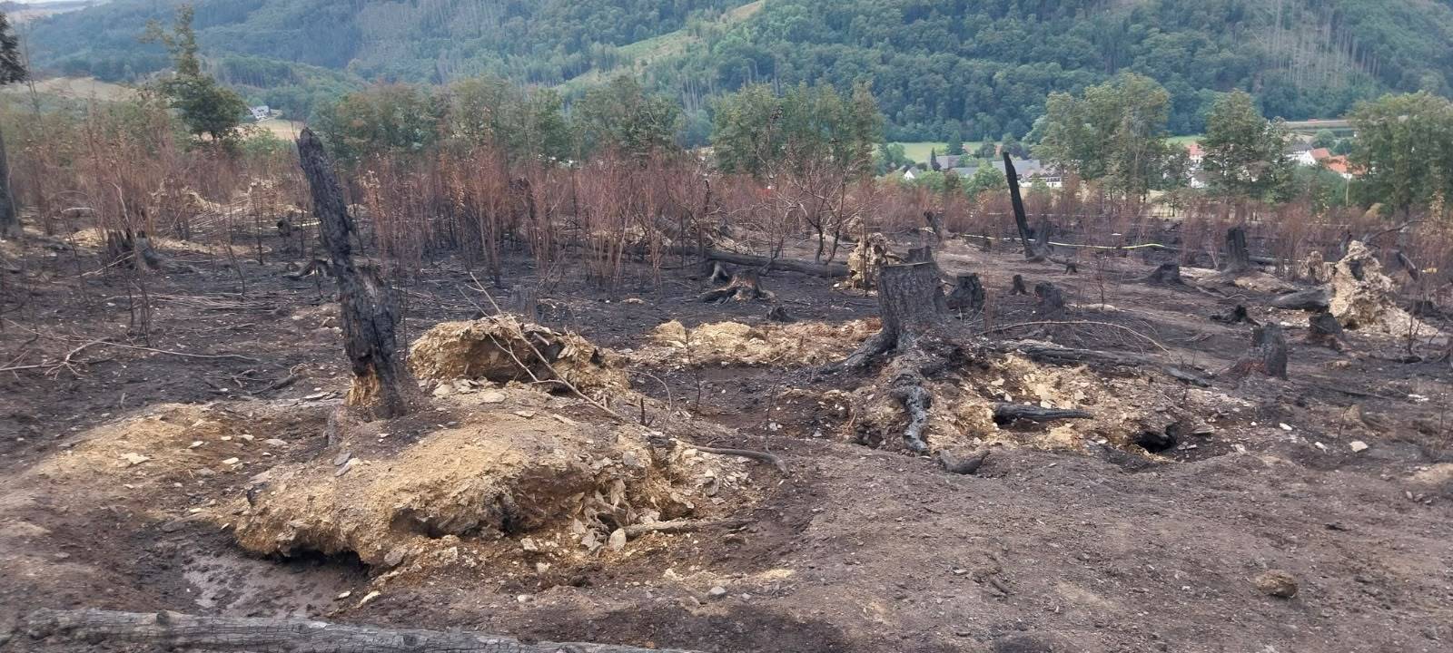 Zum Nachhören: Sauerländer Waldbrände