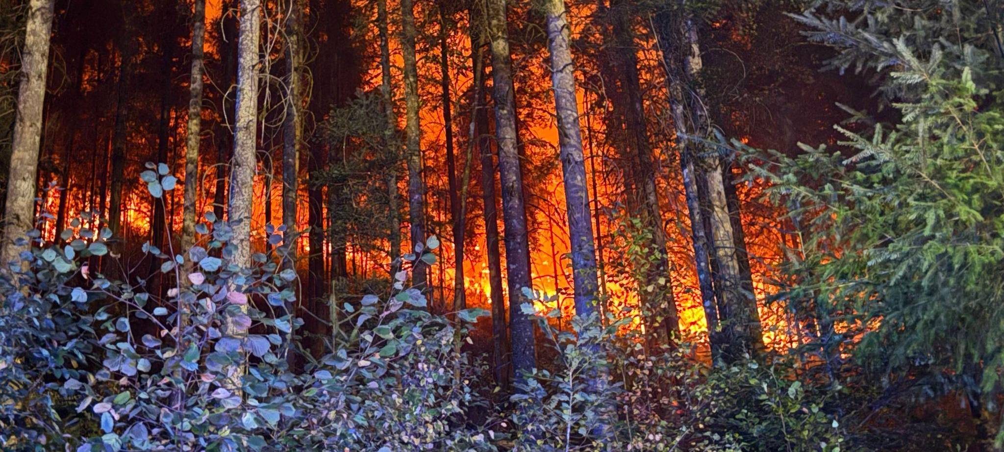 Waldbrand bei Schramberg