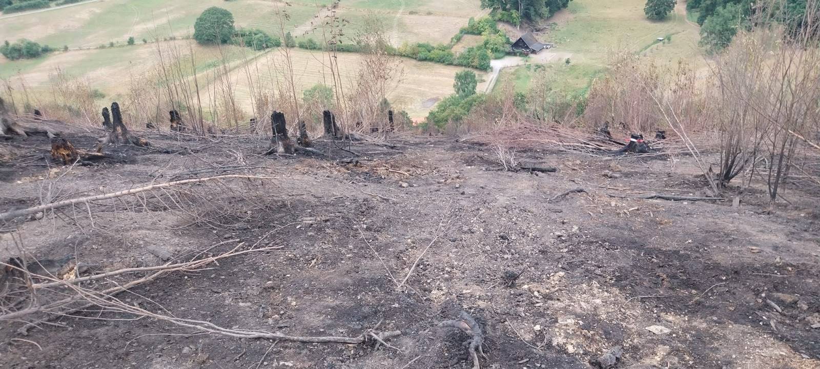 Zum Nachhören: Sauerländer Waldbrände