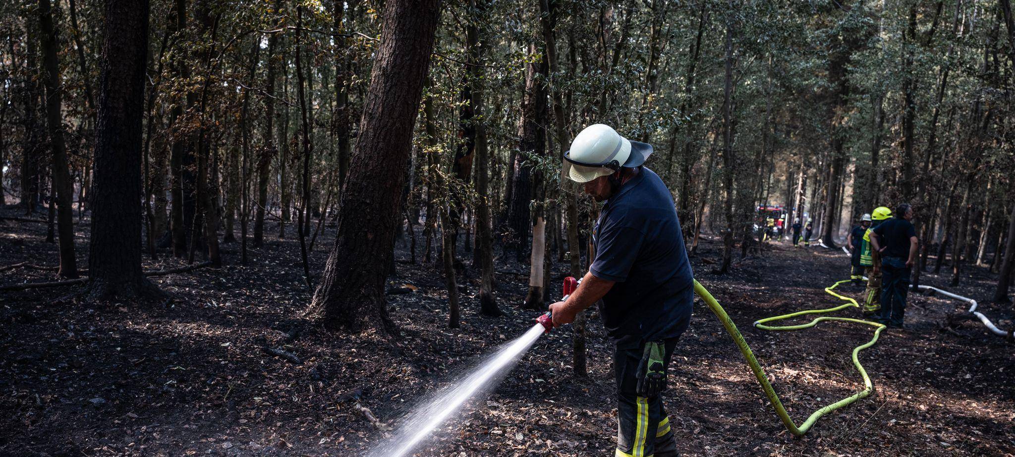 Waldbrand im Hürtgenwald