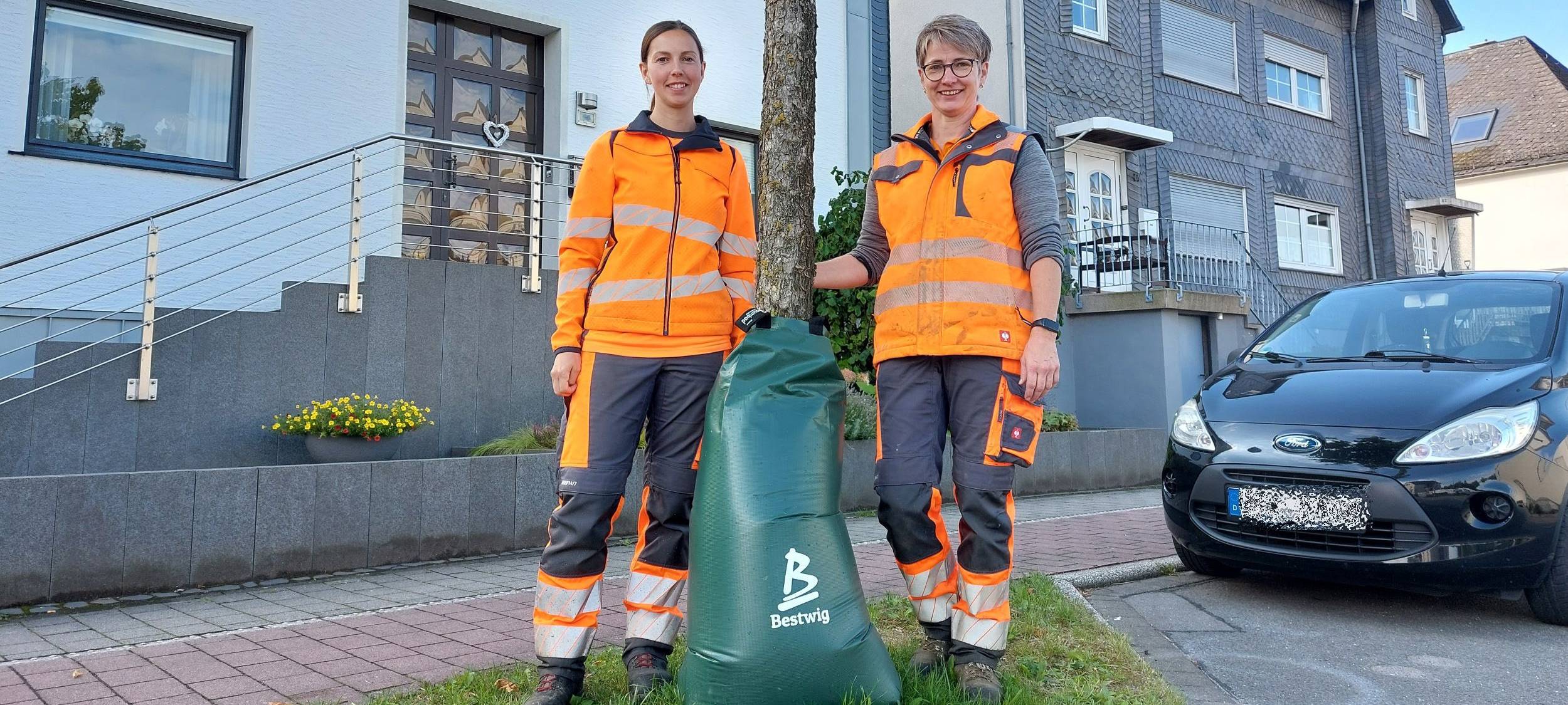 Bewässerung von Straßenbäumen