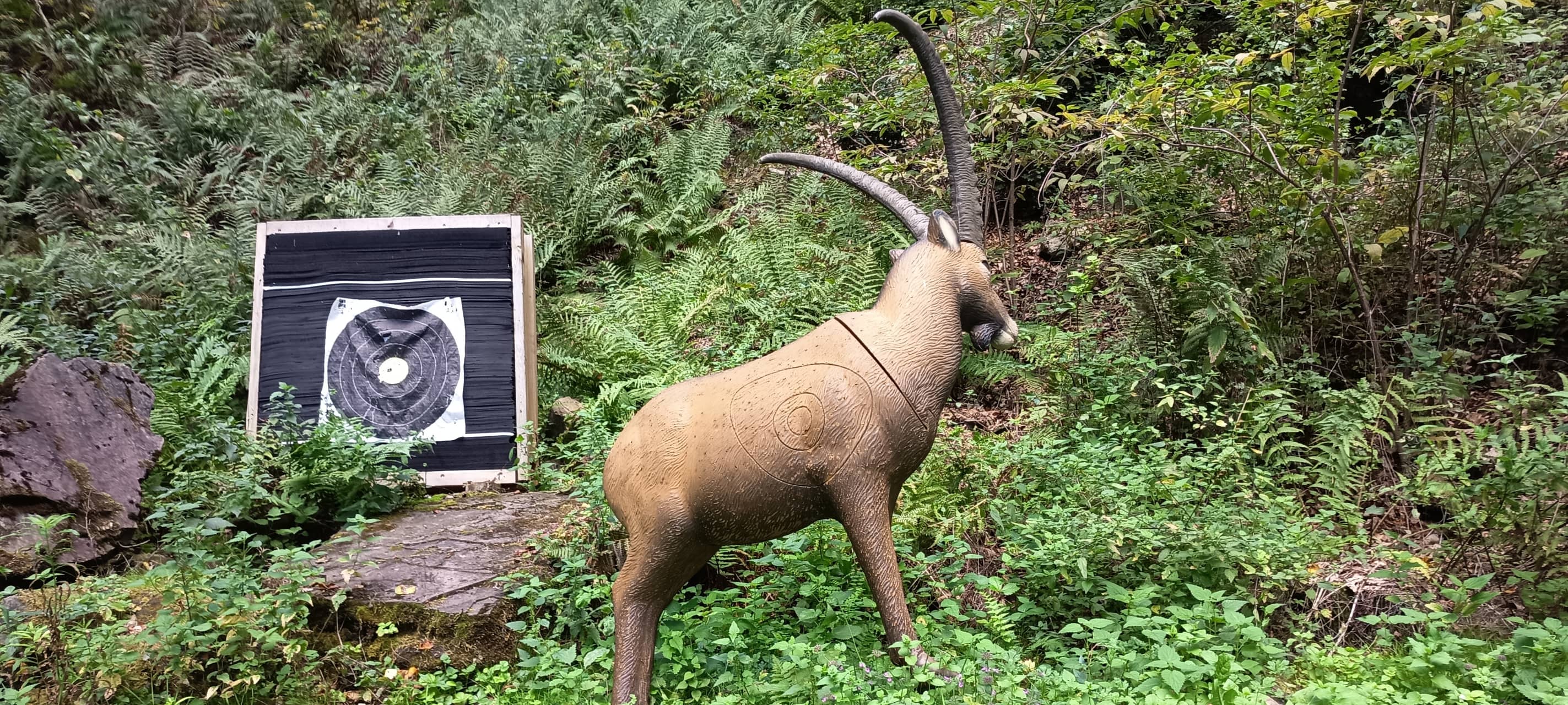 Zielscheiben und 3D-Tierfiguren