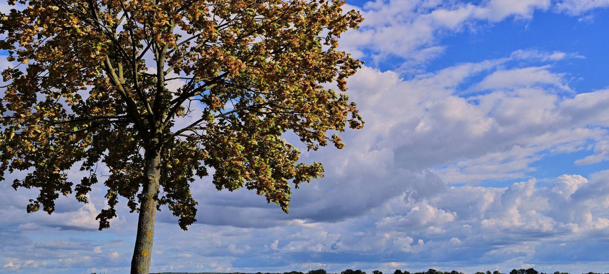 Sonniger September
