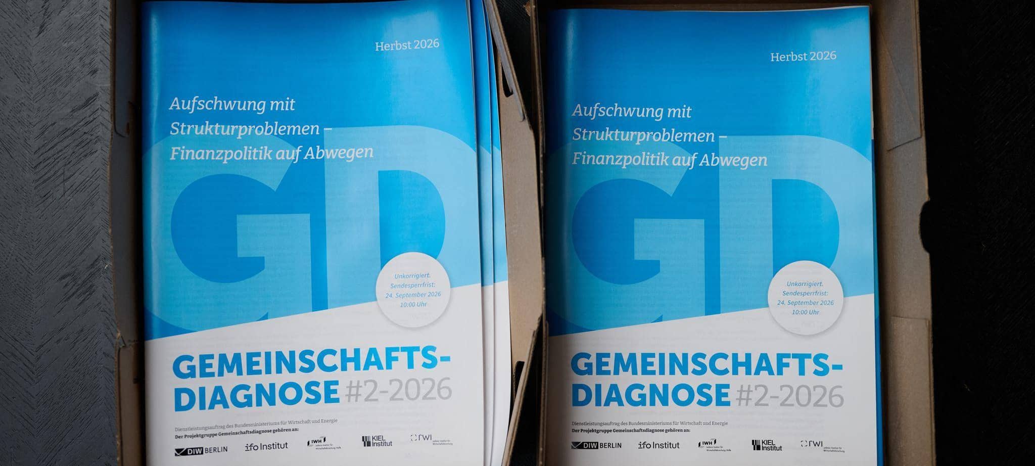 Gemeinschaftsdiagnose Herbst 2026