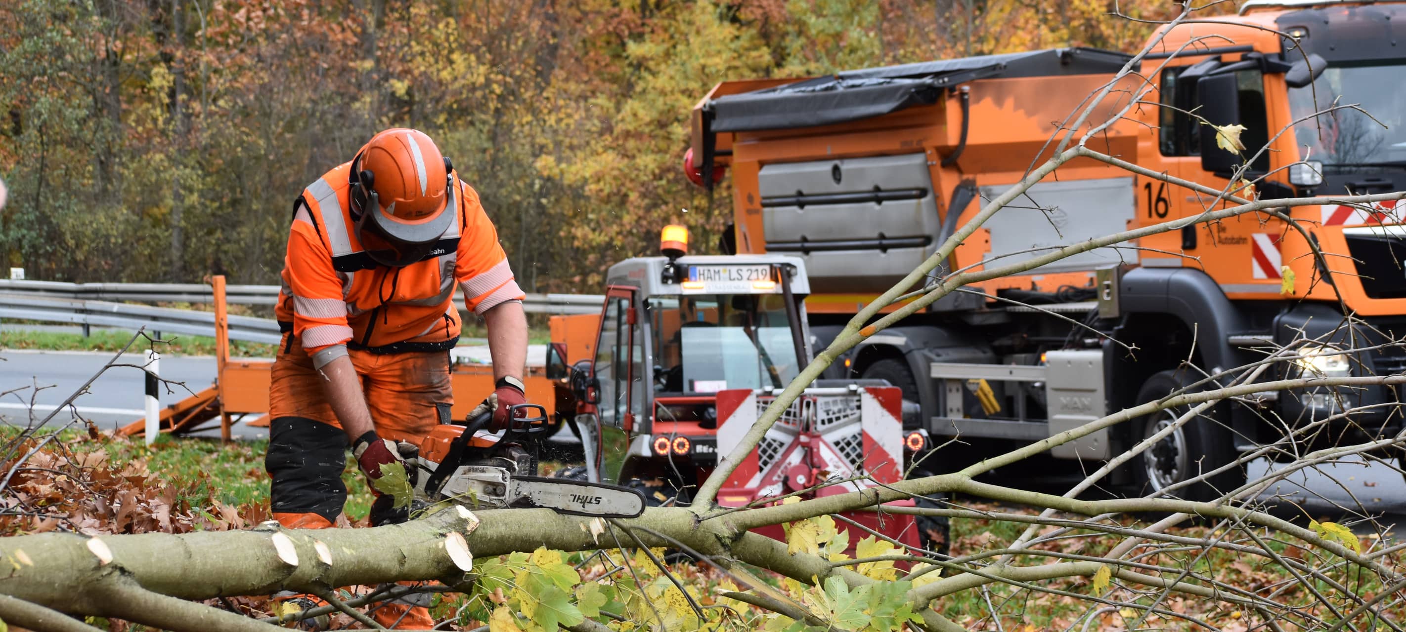 Gehölzpflege an den Autobahnen beginnt heute