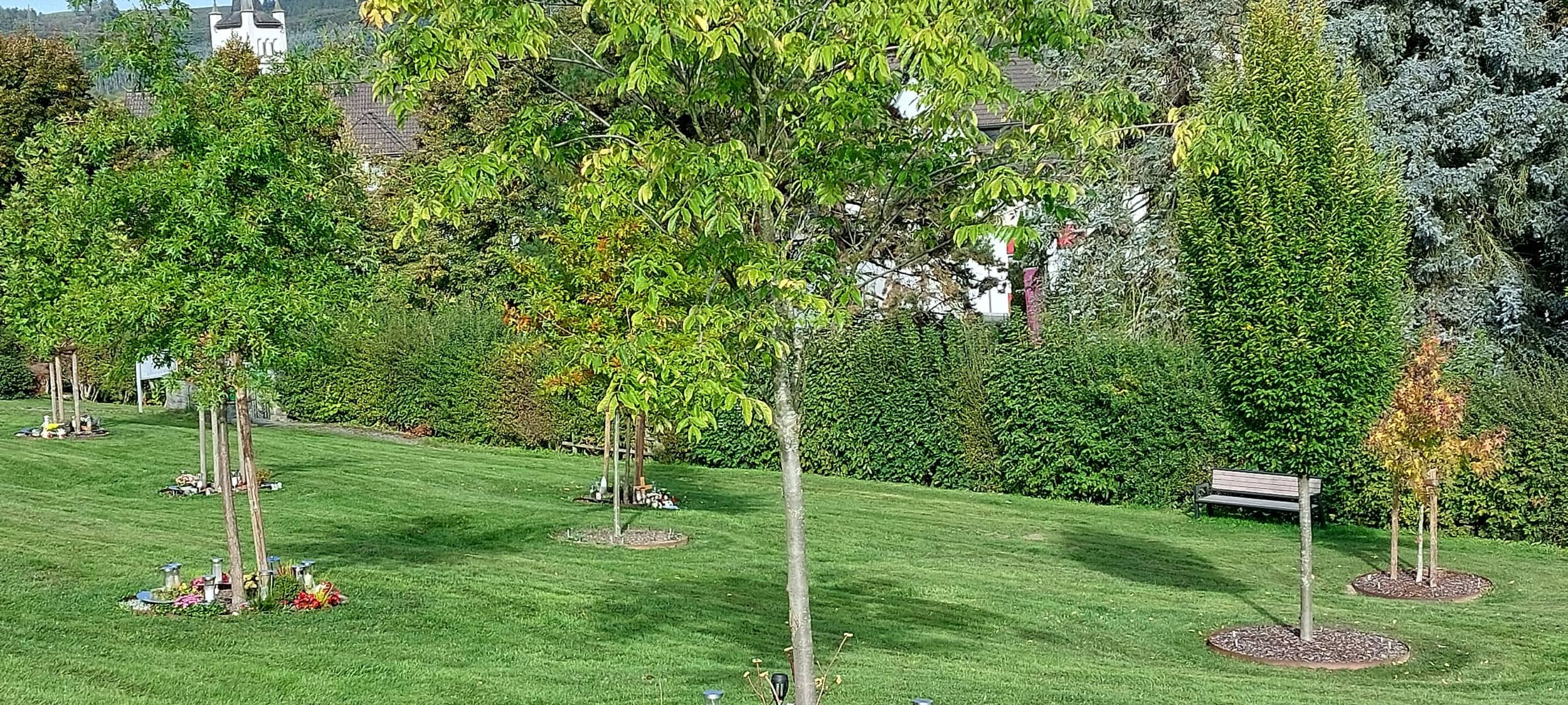 Urnenhain für Friedhof in Andreasberg