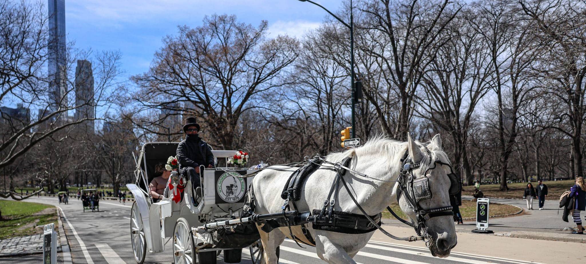 Pferdekutsche im Central Park