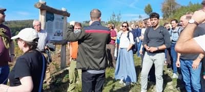Welche Bäume kommen mit Klimawandel klar?